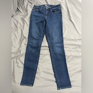 Great Classic Skinny Jean